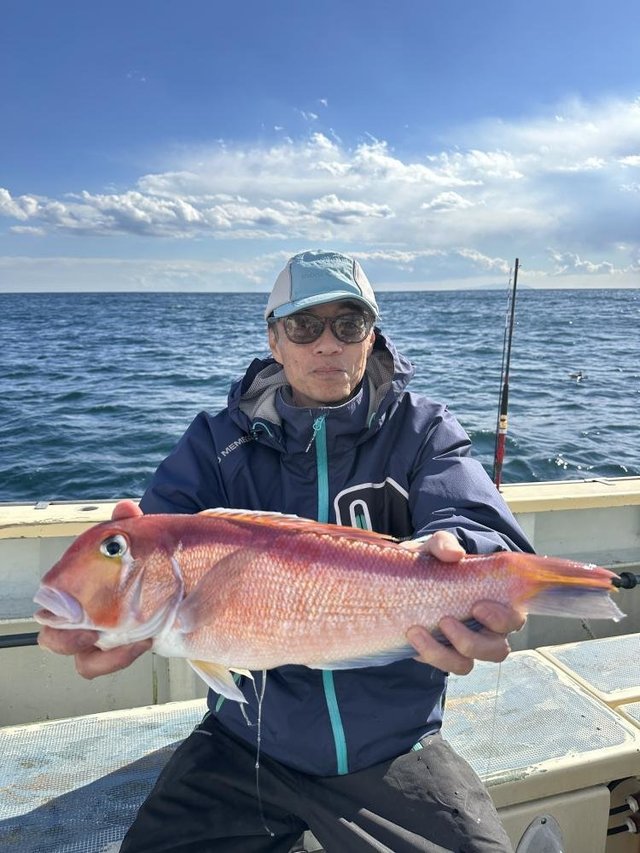 アマダイ(アカアマダイ)