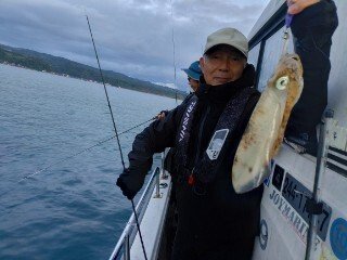 アオリ(アオリイカ)