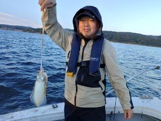 アオリ(アオリイカ)