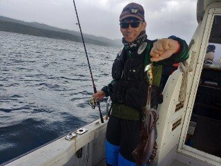 アオリ(アオリイカ)