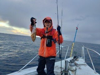 アオリ(アオリイカ)