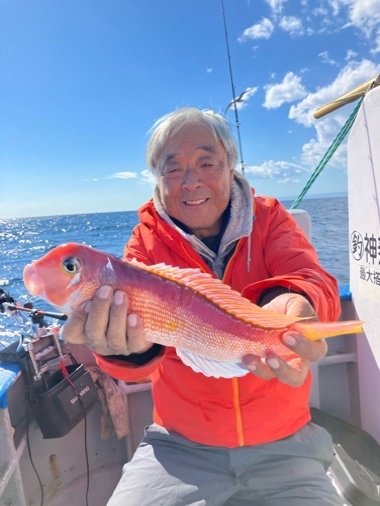 アマダイ(アカアマダイ)