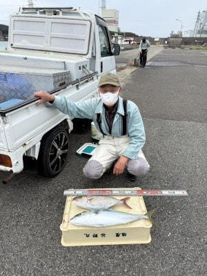 メジロ(ブリ)・カンパチ