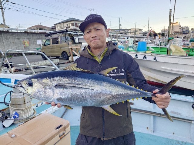 キメジ(キハダ)