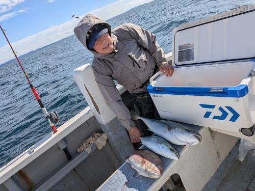 マダイ・イナダ(ブリ)・ワラサ(ブリ)