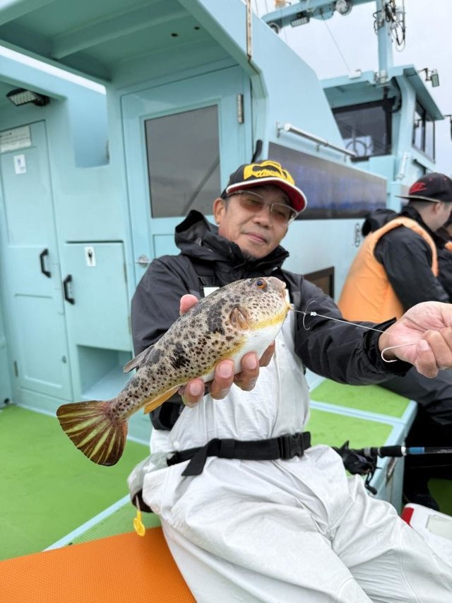 フグ(アカメフグ)