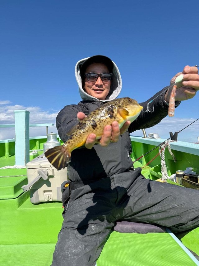 フグ(アカメフグ)