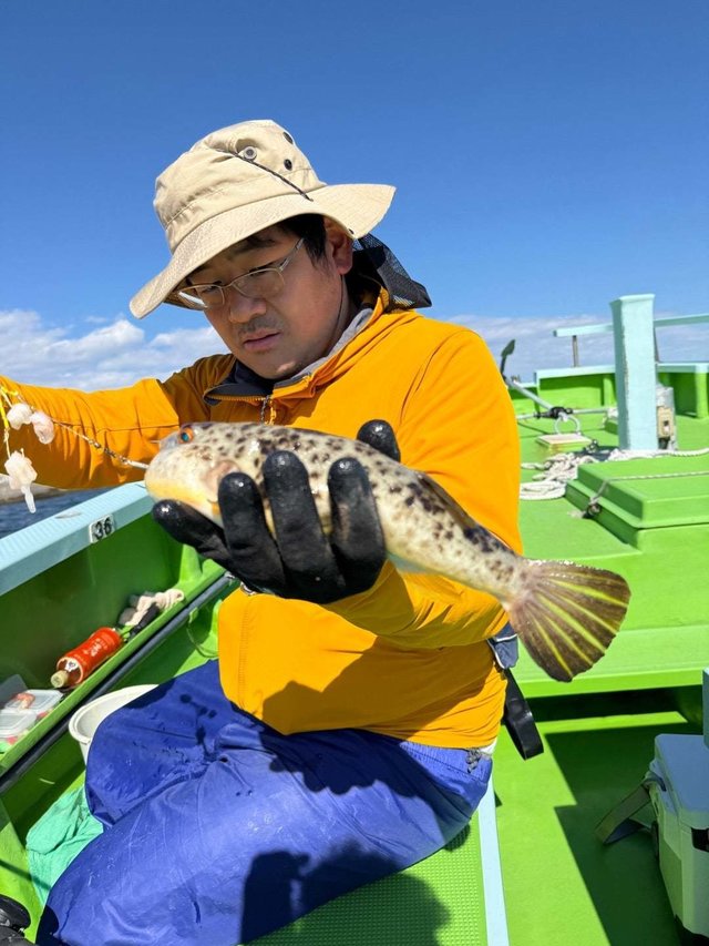 フグ(アカメフグ)