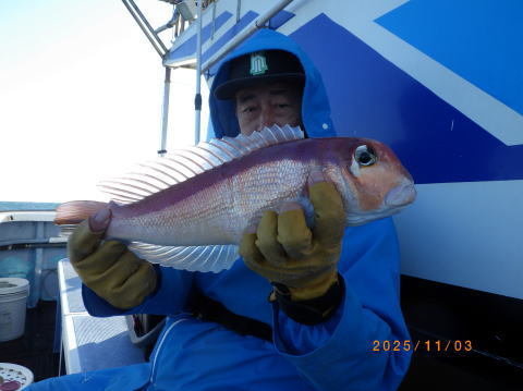 アマダイ(アカアマダイ)