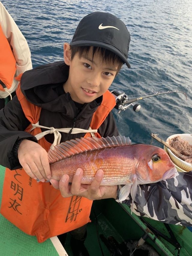 アマダイ(アカアマダイ)