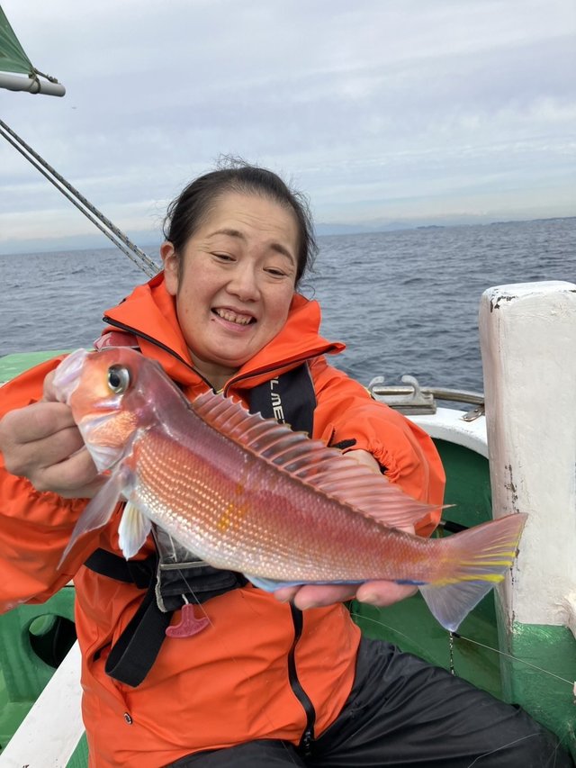 アマダイ(アカアマダイ)