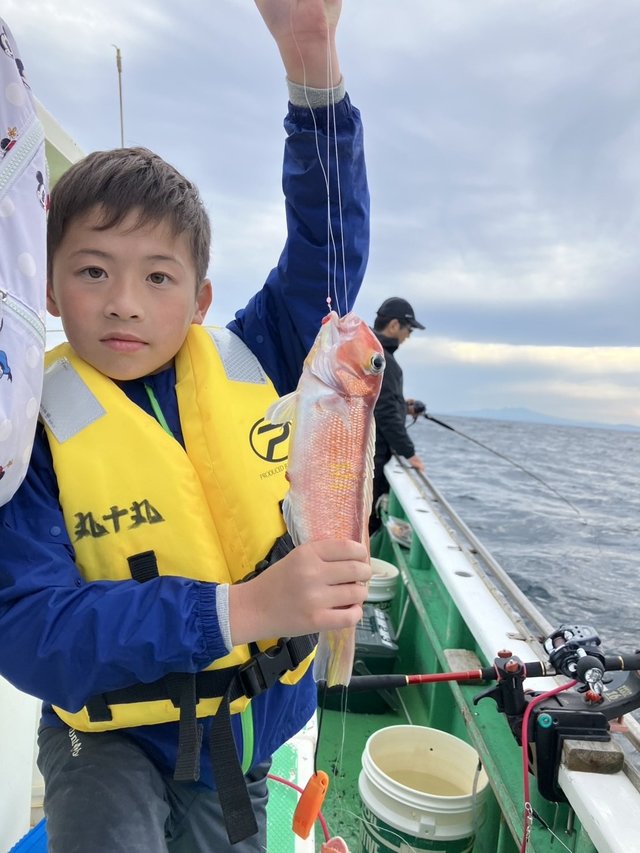 アマダイ(アカアマダイ)