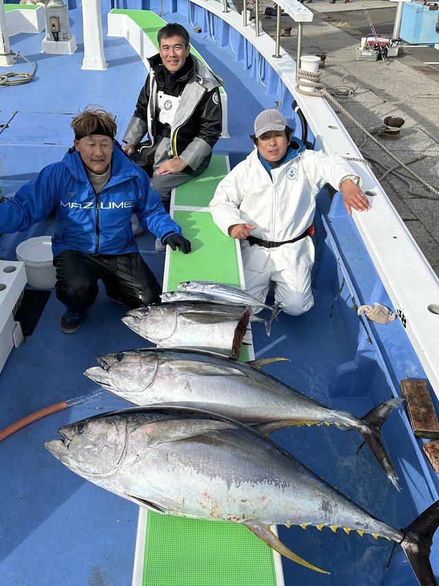 キハダ・カツオ