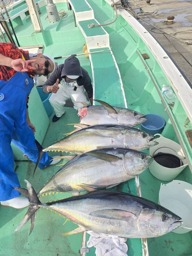 マグロ(キハダ)