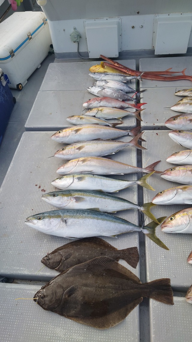 ヤズ(ブリ)・カンパチ・ヒラメ