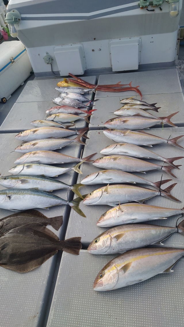 ヤズ(ブリ)・カンパチ・ヒラメ