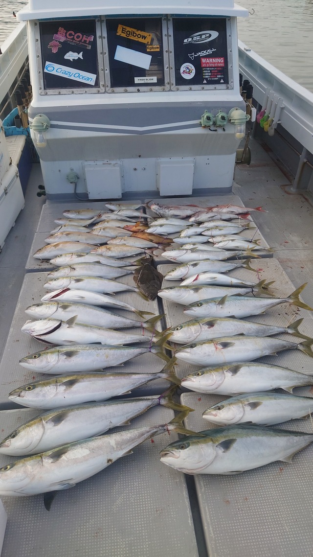 マダイ・ヤズ(ブリ)・ネリゴ(カンパチ)