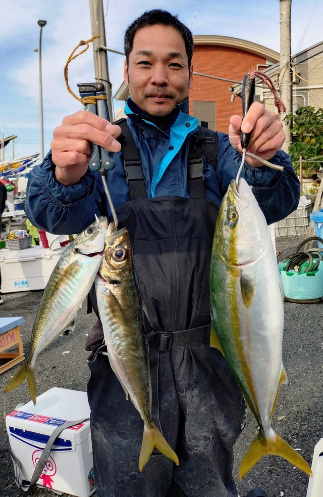 アジ(マアジ)・イナダ(ブリ)