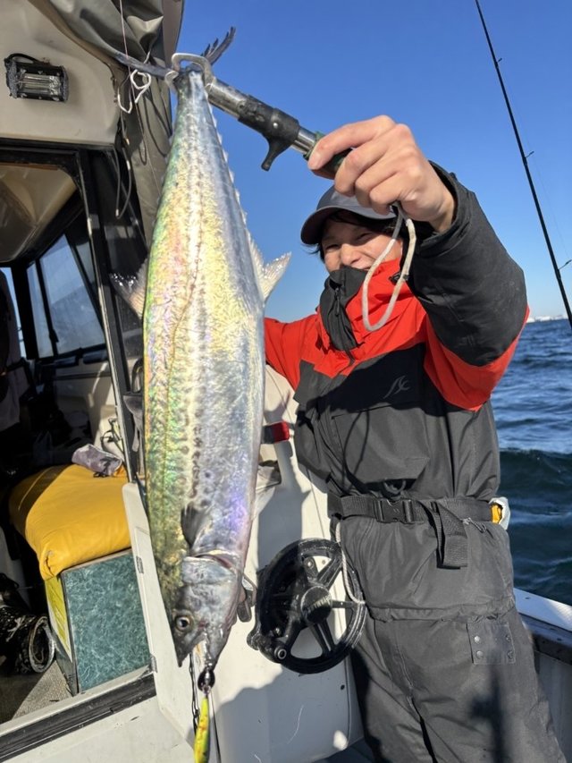 サゴシ(サワラ)