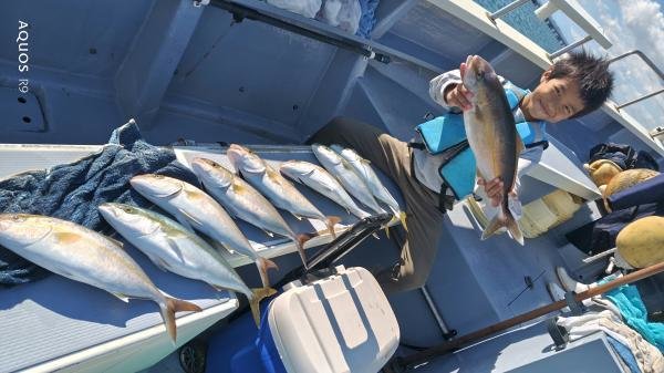 イナダ(ブリ)・カンパチ