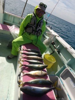 イナダ(ブリ)・カンパチ