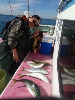 イナダ(ブリ)・カンパチ