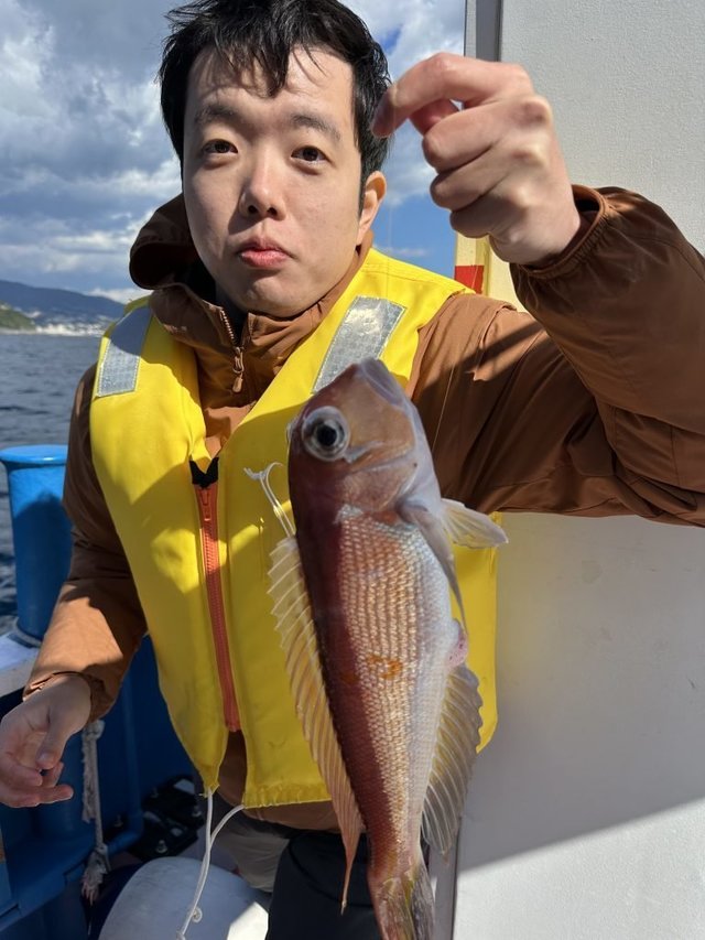 アマダイ(アカアマダイ)