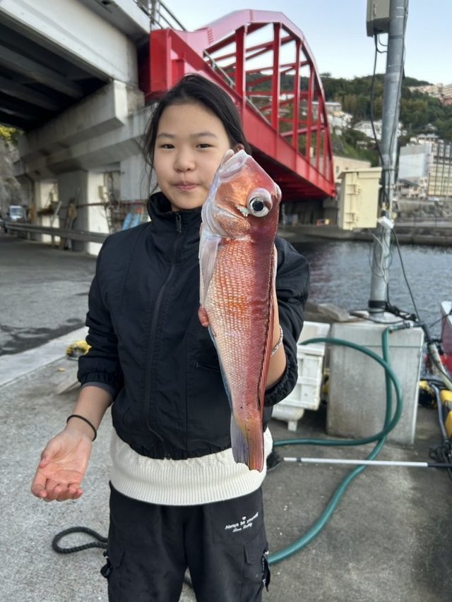 アマダイ(アカアマダイ)