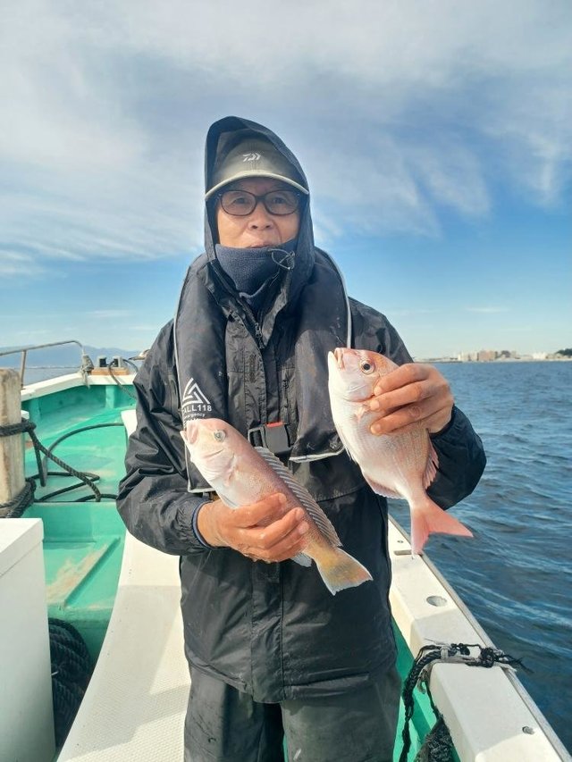 ハナダイ(チダイ)・シロアマダイ