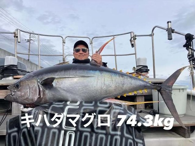マグロ(キハダ)