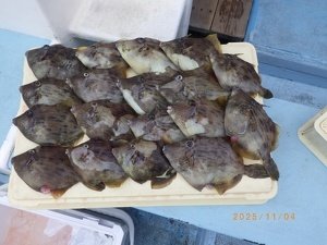 カワハギ