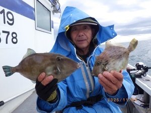 カワハギ・ウマヅラハギ