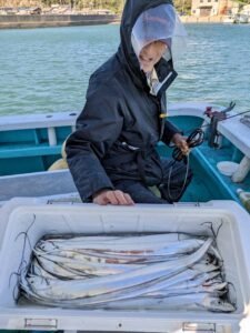 タチ(タチウオ)