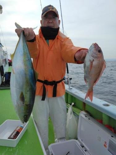 マダイ・ワラサ(ブリ)