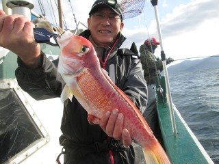 アマダイ(アカアマダイ)