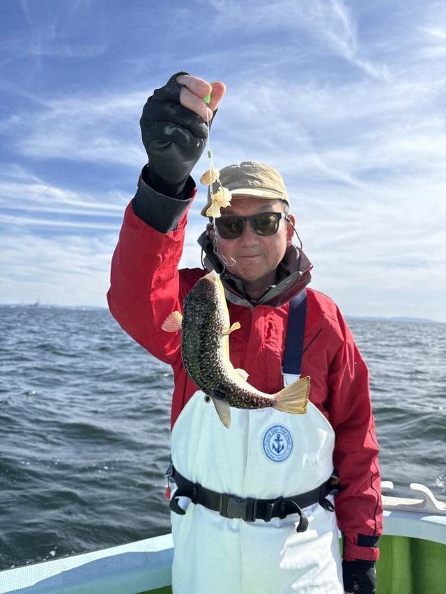 フグ(ショウサイフグ)