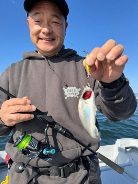 サゴシ(サワラ)