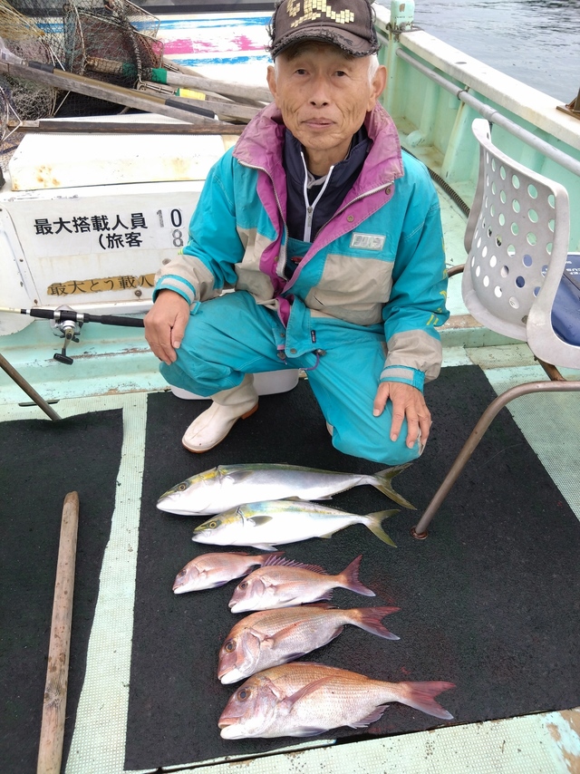 タイ(マダイ)・ハマチ(ブリ)・メジロ(ブリ)