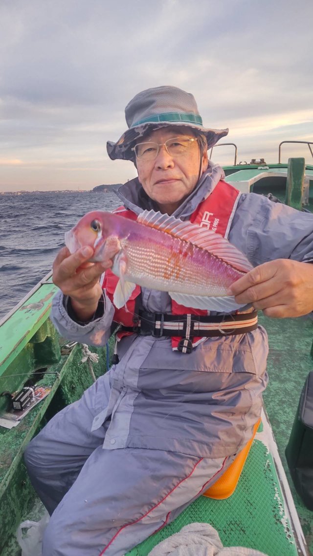 アマダイ(アカアマダイ)