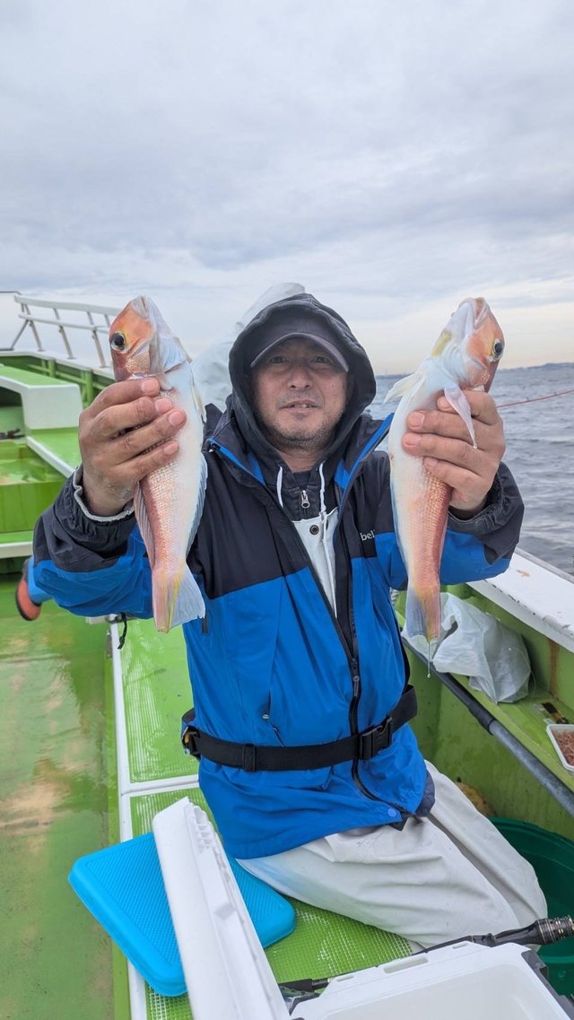 アマダイ(アカアマダイ)