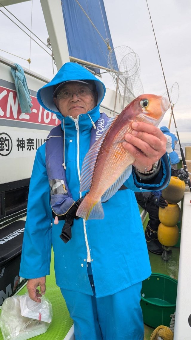 アマダイ(アカアマダイ)