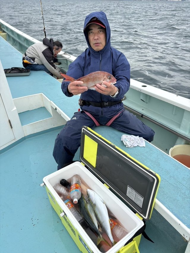 マダイ・イナダ(ブリ)