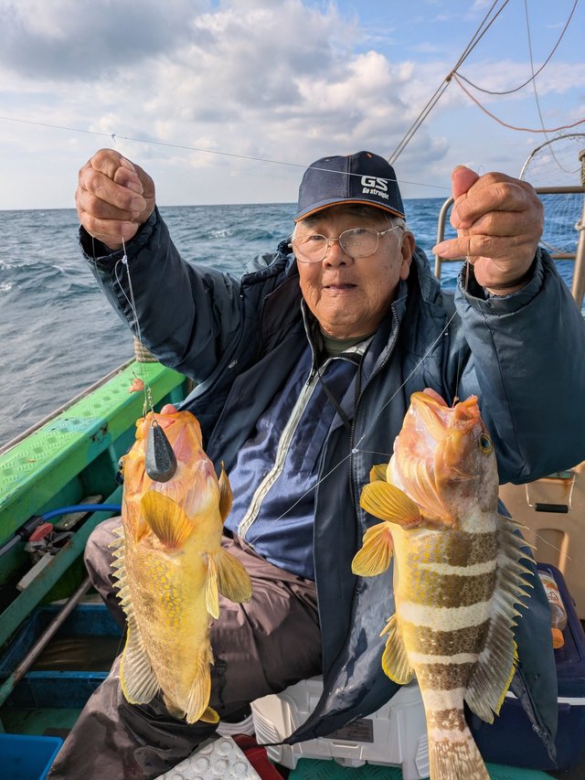 アオナ(アオハタ)