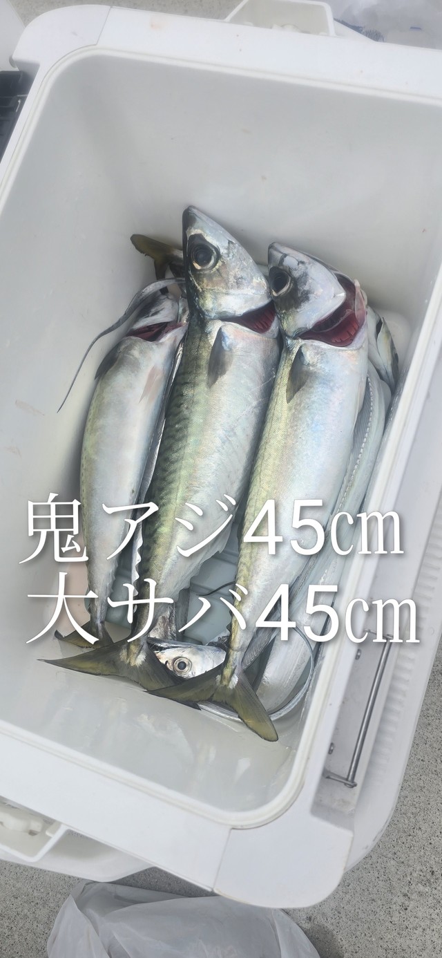 アジ(マアジ)・サバ(マサバ)