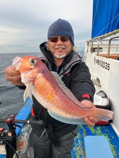 アマダイ(アカアマダイ)