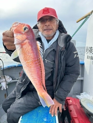 アマダイ(アカアマダイ)