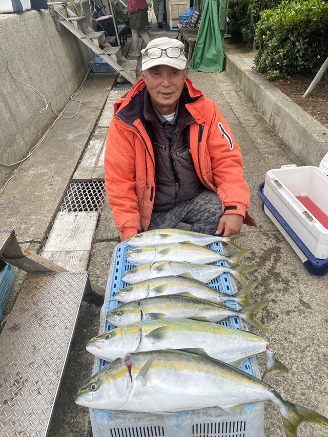 ブリ・ハマチ(ブリ)