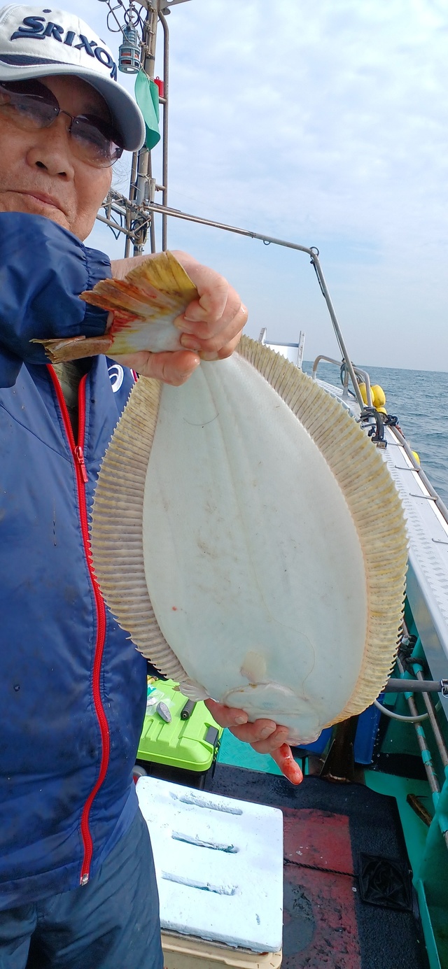 ヒラメ