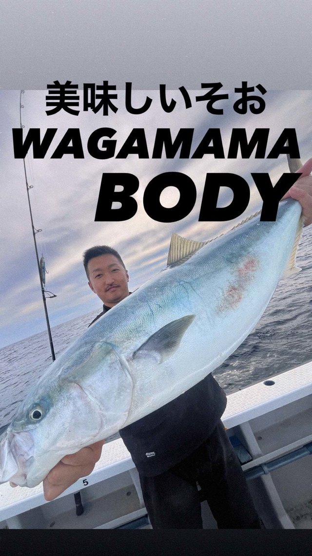 サンパク(ブリ)