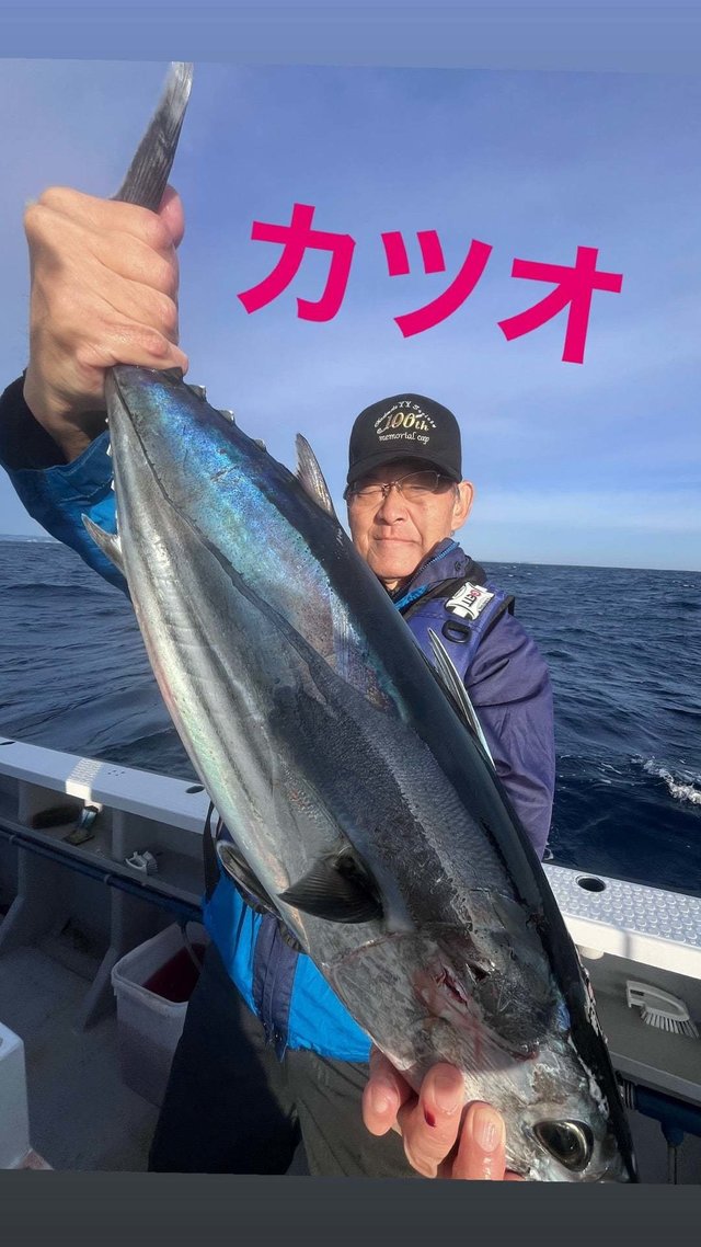 ホンカツオ(カツオ)